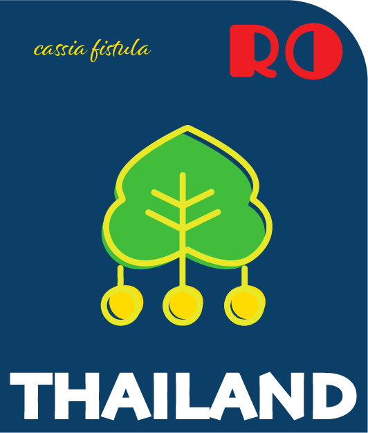 Thailand data plans